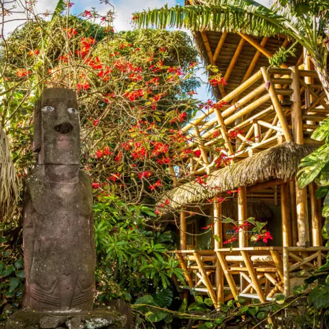 Hotel Manavai Ile de Pâques séjour initiatique Oasis