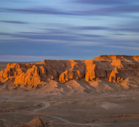 Bayanzag flaming cliffs