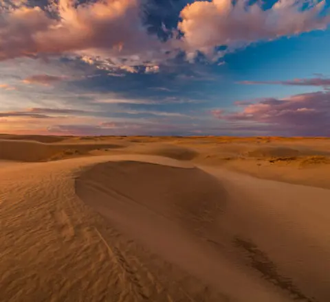 Gobi desert